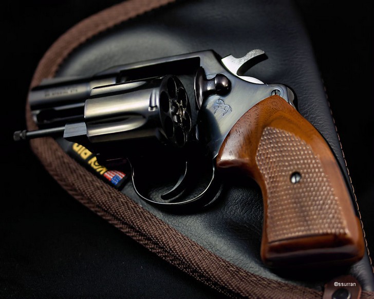 IMAGE: http://watchidiotsavants.com/gallery/IMG_7953web.jpg